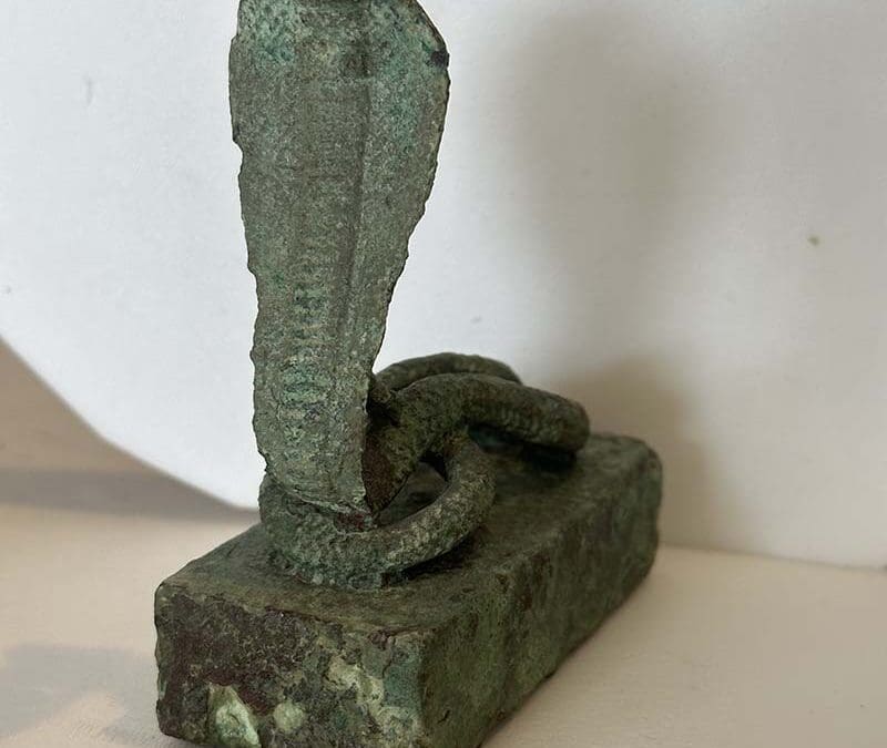 Snake Coffin