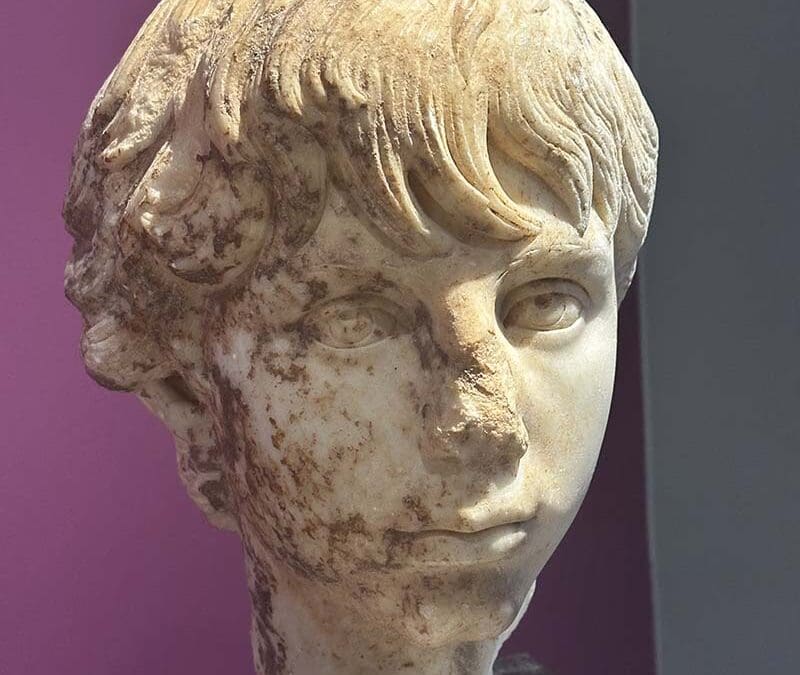 Polydeukion Head