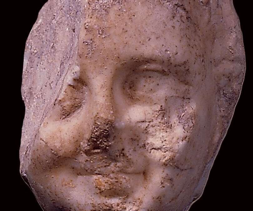 Arktos Head